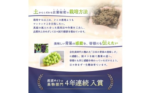 【2026年先行予約】 【粒カットバラ品】 Lino＆Kai Farmの ピオーネ(2kg程度） / ぶどう 岡山 真庭市 ピオーネ 高級 大粒 果物 ご自宅用 訳あり 産地直送 国産 数量限定 種なし 【linokai015-01】