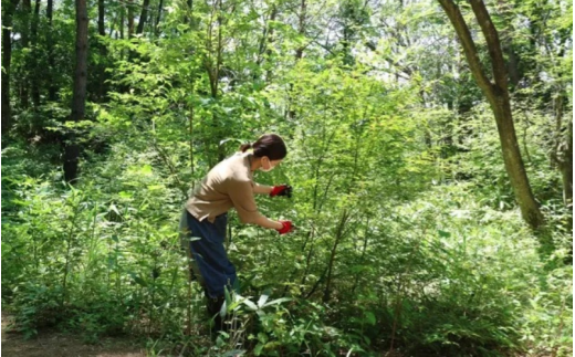 【 マツリカサボン 】 モリンガ ビューティセラム クロモジの香り / モリンガ 美容オイル セラム こだわり スキンケア 手作り 岡山県 真庭市 国産 クロモジ 【savon015-01】