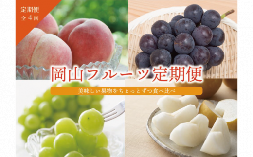 【2026年先行予約】桃・ぶどう・梨が全４回届く岡山フルーツ定期便 (岡山県産)【KF-T006-03】