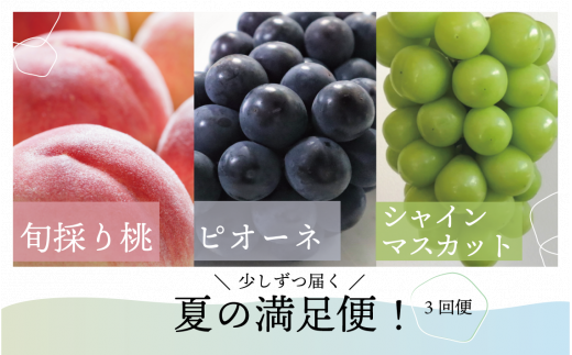 【2026年先行予約】桃、ピオーネ、シャインマスカットが少しずつ届く夏の満足便！３回便(定期便) (岡山県産)【KF-T022-02】