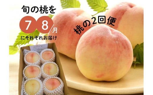 【2026年先行予約】【きよとうファーム】旬の桃の食べ比べを楽しむ、桃の２回便！(定期便) (岡山県産)【KF-T025-01】