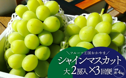 【2026年先行予約】岡山のシャインマスカットを楽しむ満足３回便！特大２房×3回/全便計3.9kg~ (定期便)(岡山県産)【KF-T045-02】