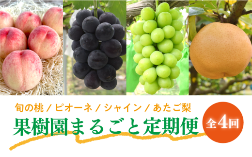 【2026年先行予約】いろんなフルーツをちょっとずつ、桃・葡萄・梨の4回便(定期便) (岡山県産)【KF-T064-01】
