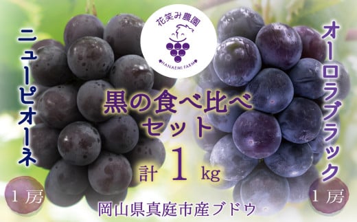 【2026年先行予約】 岡山 花笑み農園の『ニューピオーネ&オーロラブラック』1kg(2房) 2026年9月上旬～ 受付順に発送予【hana032-02】