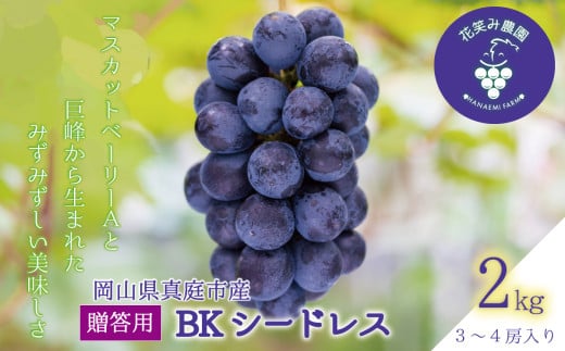 【2026年先行予約】ぶどう 岡山 花笑み農園の『BKシードレス』贈答用2kg（3～4房） 岡山 真庭 フルーツ 【hana038-02】
