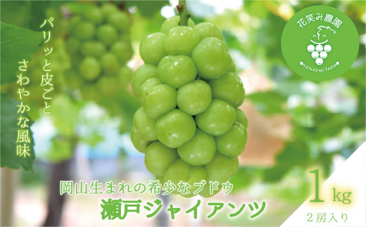 【2026年先行予約】岡山　花笑み農園の『瀬戸ジャイアンツ』１ｋg（２房） 【hana040-02】