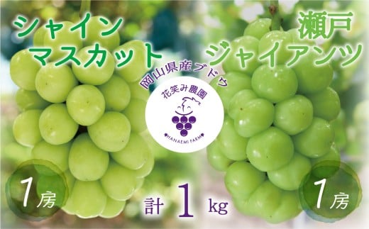 【2026年先行予約】 ぶどう 岡山 花笑み農園の『シャインマスカット&瀬戸ジャイアンツ』1kg (2房)  / ぶどう ブドウ 葡萄 シャインマスカット 瀬戸ジャイアンツ 先行予約 フルーツ 果物 真庭市 【hana046-02】