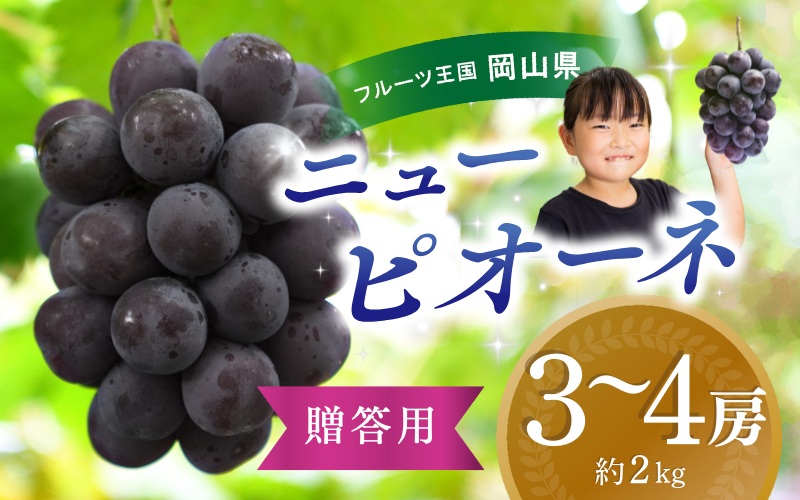 【2026年の先行予約です！】ぶどう 岡山 花笑み農園『ニューピオーネ』約2kg（3～4房） 贈答用 岡山 真庭 ピオーネ 高級 2kg 贈答 2026真庭市 大粒 葡萄 果物 フルーツ 濃厚ピオーネ 人気 数量限定 2026年9月上旬～ 受付順に発送予定 【hana006-03】