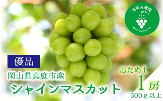 【2026年先行予約】花笑み農園の『シャインマスカット』500ｇ以上（中１房）岡山 ぶどう シャインマスカット 真庭市 【hana081-01】