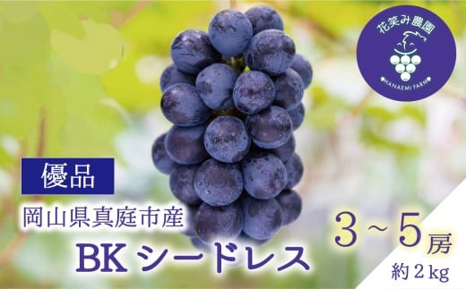 【2026年先行予約】花笑み農園の『BKシードレス』優品　2kg（3～5房） 岡山 贈答用 ぶどう 【hana082-01】