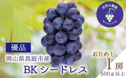 【2026年先行予約】花笑み農園の『BKシードレス』500g以上（中１房） 岡山 贈答用 ぶどう 【hana083-01】