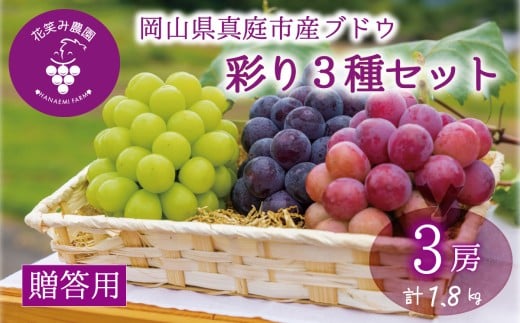 【2026年の先行予約】 花笑み農園 ぶどう『彩り３種セット』贈答用（1.8kg） 岡山 詰め合わせ 食べ比べ 真庭市 【hana084-01】