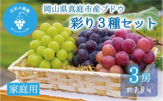 【2026年の先行予約】 花笑み農園 ぶどう 『彩り３種セット』家庭用（1.8kg） 岡山 詰め合わせ 食べ比べ 真庭市 【hana085-01】