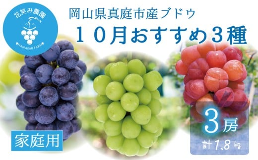 【2026年の先行予約】花笑み農園 10月おすすめ『ぶどう３種』家庭用（1.8kg） 岡山 詰め合わせ 食べ比べ 真庭市 【hana086-01】