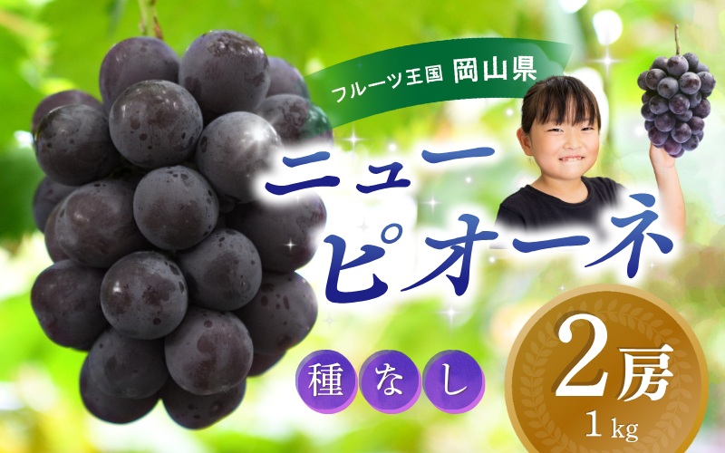 ＼2026年の先行予約です／ ぶどう 岡山 花笑み農園『ニューピオーネ』1kg（2房） hana14 贈答 岡山 真庭 ピオーネ 高級 1kg 贈答 2025 真庭市 大粒 葡萄 果物 フルーツ 濃厚ピオーネ 人気 数量限定 2026年9月上旬～ 受付順に発送予定 【hana014-03】