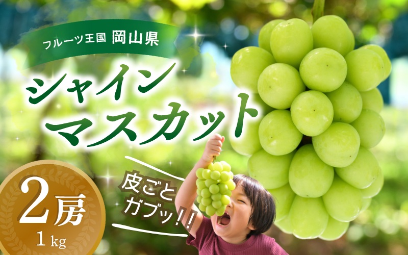 【2026年先行予約】 花笑み農園 シャインマスカット1kg（2房）贈答用 岡山 真庭 シャインマスカット 大粒 ぶどう 2026年9月下旬～ 受付順に発送予定 【hana015-03】