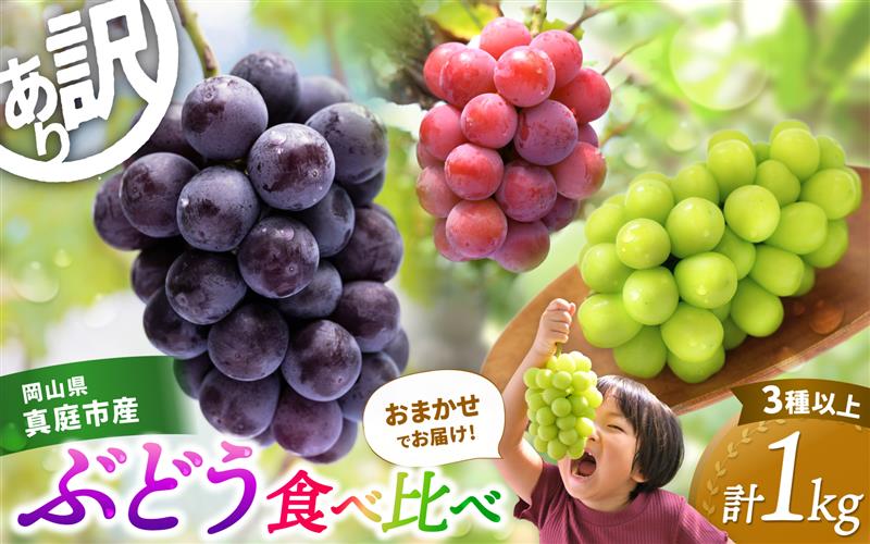 【2026年の先行予約！】 訳あり ぶどう 花笑み農園おまかせ3種以上（約１kg） hana18-1. / ぶどう 詰め合わせ 食べ比べ シャインマスカット ピオーネ クイーンニーナ オーロラブラック 瀬戸ジャイアンツ 翠峰 BKシードレス マスカサーティーン マスカットノワール 雄宝 マイハート 岡山 真庭市 【hana018-02】