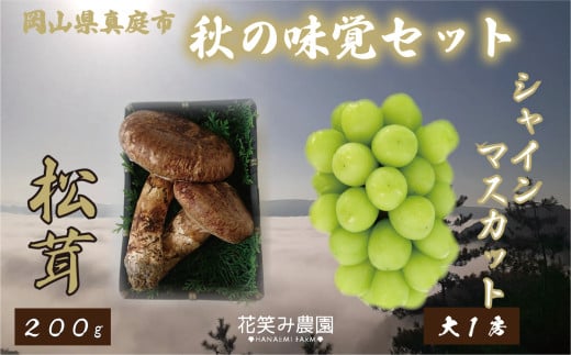 【2026年先行予約】花笑み農園　岡山の『松茸+シャインマスカット』秋の味覚セット 【hana022-02】