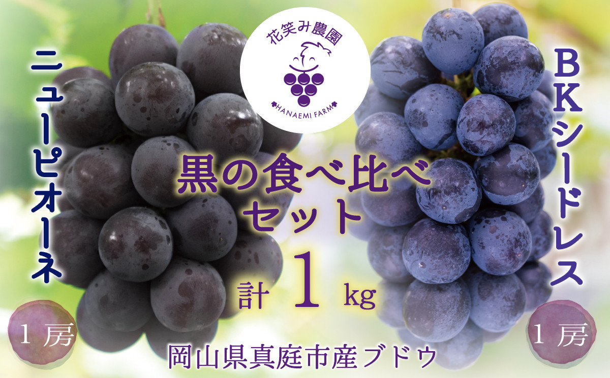 【2026年先行予約】 岡山 花笑み農園の『ニューピオーネ&BKシードレス』1kg(2房)  2026年9月中旬～ 受付順に発送予定 【hana026-02】