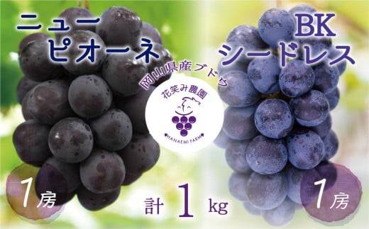 【2026年先行予約】 岡山 花笑み農園の『ニューピオーネ&BKシードレス』1kg(2房)  2026年9月中旬～ 受付順に発送予定 【hana026-02】