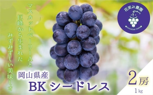 【2026年先行予約】ぶどう 岡山 花笑み農園の『BKシードレス』1kg（2～3房） 1kg 贈答用 濃厚 ぶどう 2026年9月中旬～ 受付順に発送予定 【hana027-03】
