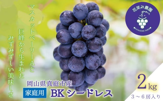 【2026年先行予約】 岡山 花笑み農園の『BKシードレス』家庭用2kg（3～6房） 2026年9月中旬～ 受付順に発送予定 【hana029-02】