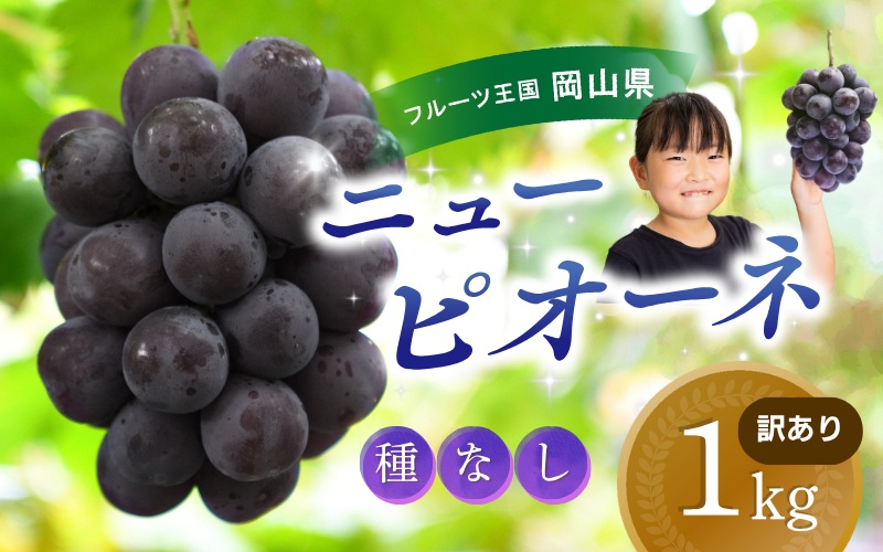 【2026年の先行予約です】 ぶどう 訳あり 花笑み農園の ニューピオーネ 1kg hana33. / ぶどう ブドウ 葡萄 岡山 ピオーネ 先行予約 フルーツ 果物 真庭市【hana033-02】