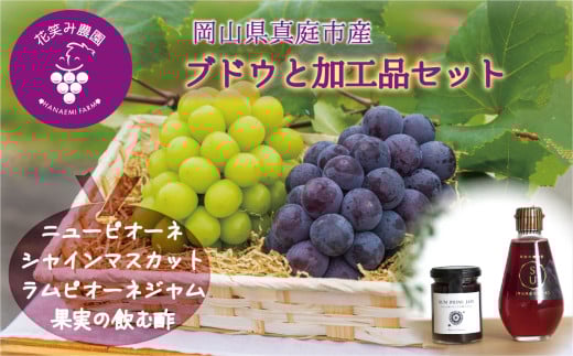 【2026年先行予約】花笑み農園 岡山の『ピオーネ＆シャインマスカット＆ラムピオーネジャム＆飲む酢』 【hana070-02】