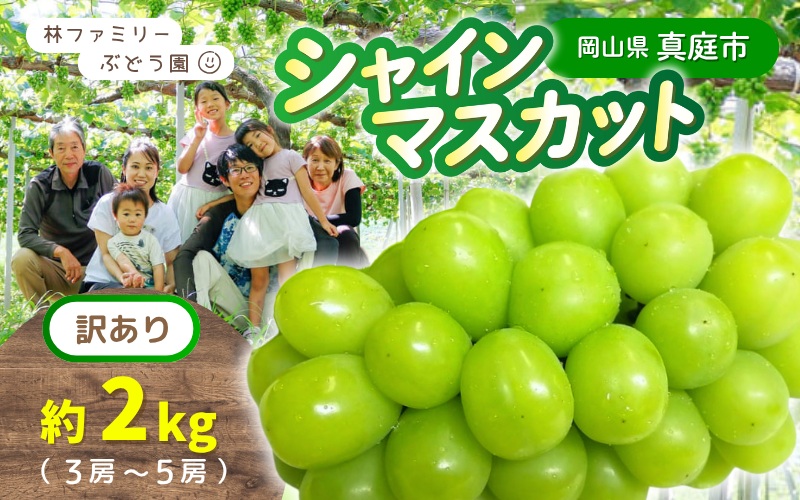 【訳あり】 ※2026年予約！※ 岡山県産 林ファミリーのシャインマスカット 約2kg（約3～5房）【2026年先行予約】 / ぶどう ブドウ シャインマスカット 葡萄 岡山 真庭市 果物 フルーツ 新鮮 人気 数量限定 お買い得 家庭用 お試し たっぷり ぶどう専門 【hfbd022-02】