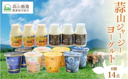 蒜山ジャージーヨーグルト 6種 14点セット 詰め合わせ 食べ比べ ひるぜん 蒜山酪農 真庭 岡山 ジャージー ギフト【hiru009-01】