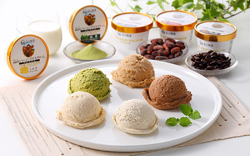 蒜山ジャージープレミアムアイスクリーム 12個セット / 岡山 真庭 極上スイーツ プレゼント ギフト ジャージー 牛乳 バニラ ミルク チョコ コーヒー 抹茶 アイス 贈答 食べ比べ 【hiru011-01】