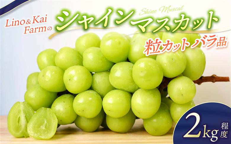 2026年先行予約 Lino＆Kai Farmのシャインマスカット 粒カットバラ品 (2kg程度）ぶどう 岡山 真庭市 シャインマスカット 高級 【linokai004-02】