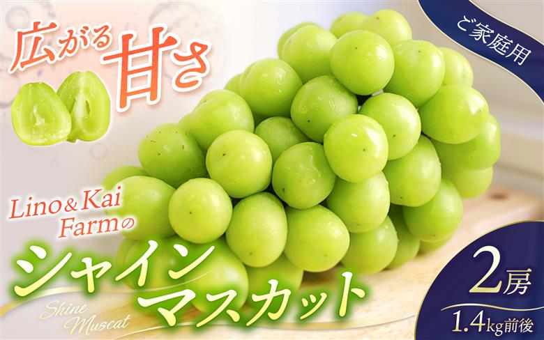 【2026年先行予約】 ご家庭用 Lino＆Kai Farmのシャインマスカット 2房（1.4kg前後） 化粧箱入 ぶどう 岡山 真庭市 シャインマスカット 大粒 【linokai008-02】