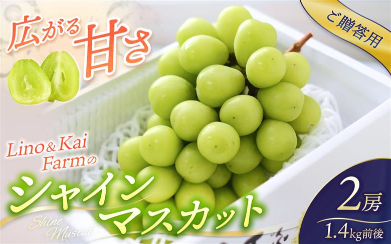 2026年先行予約 ご贈答用 Lino＆Kai Farmのシャインマスカット２房 （1.4kg前後） 化粧箱入 ぶどう 岡山 真庭市 シャインマスカット 贈答 【linokai010-02】