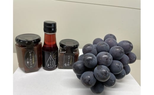 【2026年先行予約】【発送月固定全4回定期便】９月～12月 大粒ぶどうの詰め合わせ全3回【nisfarm023-01】