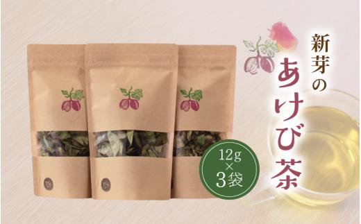 新芽のあけび茶 12g×3 / アケビ 岡山県 真庭市 しげや 【shigeya009-01】