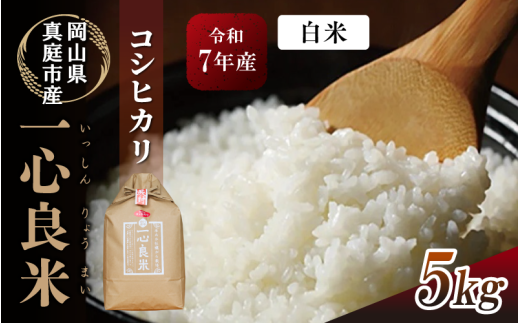 真庭市産コシヒカリ 米ぬか 牡蠣栽培米 『 一心良米 』 白米 5kg / お米 いっしんりょうまい 岡山県 こしひかり 人気 ブランド 令和7年産 2025年産 【tkns009-01-cho】 5kg