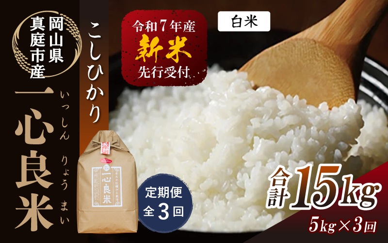  ＜全3回定期便＞ 真庭市産コシヒカリ 米ぬか 牡蠣栽培米 『 一心良米 』 白米 5kg×3回 【令和7年産】 / お米 いっしんりょうまい 岡山県 米 こしひかり 人気 ブランド 2025年産 【tkns-tkb025】 ５kg×３回