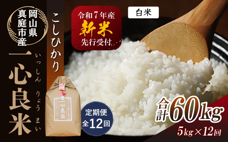 【令和7年産先行予約】＜全12回定期便＞ 真庭市産コシヒカリ 米ぬか 牡蠣栽培米 『 一心良米 』 白米 ５kg×12回（定期便） / お米 いっしんりょうまい 岡山県 真庭市 白米 米 コシヒカリ こしひかり 人気 ブランド米 新米 先行予約 定期便 令和7年産 2025年産【takenaka005-02-tkb12】 ５kg×12回