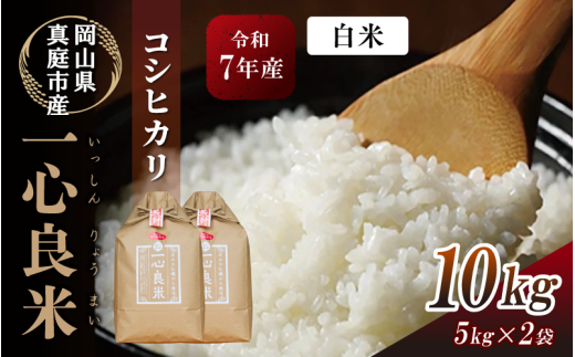 【令和7年産】 真庭市産コシヒカリ 米ぬか 牡蠣栽培米 『 一心良米 』白米 10kg (5kg×2袋） / お米 いっしんりょうまい 岡山県 こしひかり 人気 ブランド 2025年産 【tkns010-01-cho】 10ｋｇ(5kg×２袋）