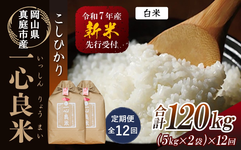 【令和7年産先行予約】＜全12回定期便＞ 真庭市産コシヒカリ 米ぬか 牡蠣栽培米 『 一心良米 』 白米 １０kg(5kg×2袋）×１２回（定期便） / お米 いっしんりょうまい 岡山県 真庭市 白米 米 コシヒカリ こしひかり 人気 ブランド米 新米 先行予約 定期便 令和7年産 2025年産【takenaka006-02-tkb12】 １０kg(5kg×2袋）×12回