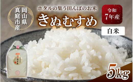 令和7年産 真庭市産 きぬむすめ 白米 5kg / お米 国産 岡山県 米 きぬむすめ 人気 ブランド 2025年産 【tkns005-01-cho】 5kg