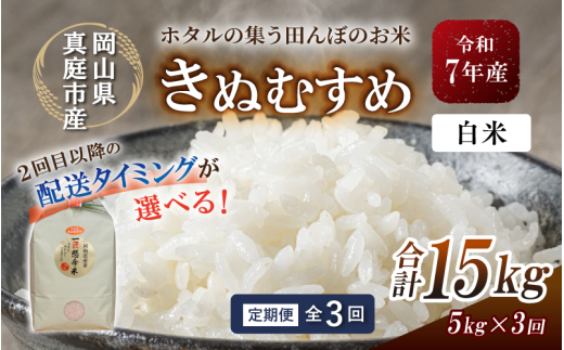 ＜定期便全3回＞令和7年産 真庭市産きぬむすめ 白米 5kg×3回 / お米 国産 岡山県 米 きぬむすめ 人気 ブランド 2025年産 【tkns-tkb013-cho】 ５kg×３回