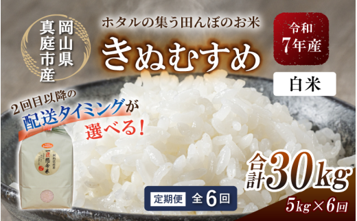 ＜定期便 全6回＞令和7年産 真庭市産きぬむすめ 白米 5kg×6回 / お米 国産 岡山県 米 人気 ブランド 2025年産 【tkns-tkb014-cho】 ５kg×６回