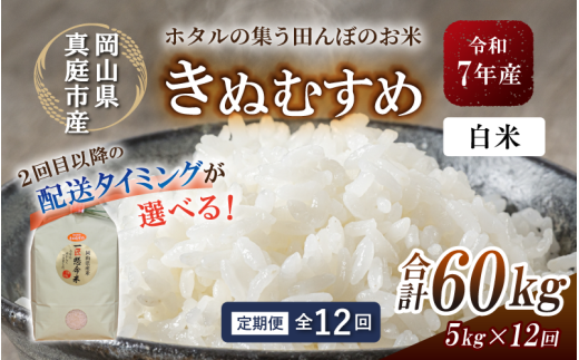 ＜定期便 全12回＞ 令和7年産 真庭市産きぬむすめ 白米5kg×12回 / お米 国産 岡山県 米 人気 ブランド 2025年産 【tkns-tkb015-cho】 ５kg×12回