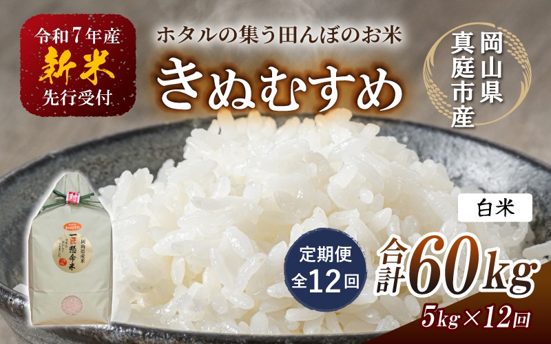 ＜定期便 全12回＞ 令和7年産 真庭市産きぬむすめ 白米5kg×12回 / お米 国産 岡山県 米 人気 ブランド 2025年産 【tkns-tkb015】 ５kg×12回