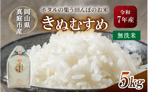令和7年産 真庭市産きぬむすめ 無洗米 5kg / お米 国産 岡山県 米 人気 ブランド 2025年産 【tkns007-01-cho】 5kg