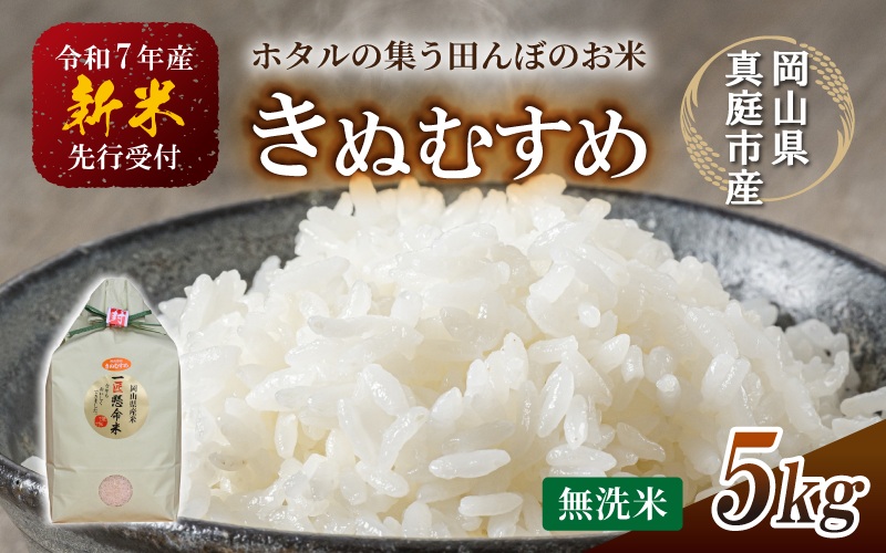 【令和7年産先行予約】令和７年新米 真庭市産きぬむすめ 無洗米 ５kg / お米 国産 岡山県 真庭市 無洗米 米 きぬむすめ キヌムスメ 人気 ブランド米 新米 先行予約 令和7年産 2025年産【takenaka020-01】 5kg