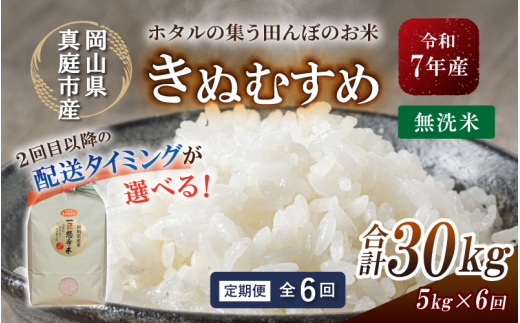 ＜定期便 全6回＞令和7年産 真庭市産きぬむすめ 無洗米 5kg×6回 / お米 国産 岡山県 米 人気 ブランド 2025年産 【tkns-tkb020-cho】 ５kg×６回