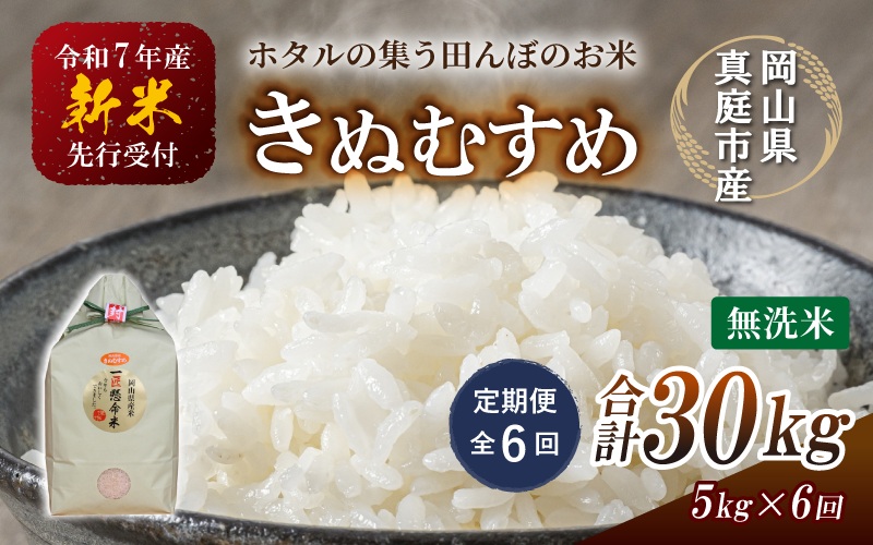 【令和7年産先行予約】＜定期便 全６回＞令和７年新米 真庭市産きぬむすめ 無洗米 ５kg×６回(定期便) / お米 国産 岡山県 真庭市 無洗米 米 きぬむすめ キヌムスメ 人気 ブランド米 新米 先行予約 定期便 令和7年産 2025年産【takenaka020-01-tkb06】 ５kg×６回